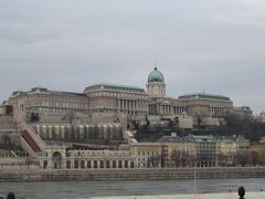 ハンガリーの一番の目的は温泉。その前に市内観光に出ました。
国会議事堂も見学したかったのですが、すでに予約でいっぱいでした。見学を希望される方はオンラインで事前に予約することを（日程が決まったらすぐに）お勧めします。
写真はペスト側から見たブタ城
