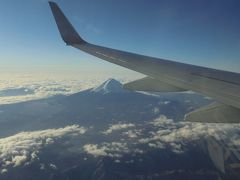 前日の飛行ルート分析したら　座席　左側なら「富士山見える」
※飛行コース
羽田離陸後　TDL　過ぎて　旋回　小岩・上野・目白　その後中央線沿いに進みました。
この写真　は、甲府・二葉町上空あたりです。
注　フライトレーダー２４　の分析です。

