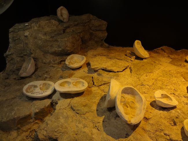 人形の型かしら？