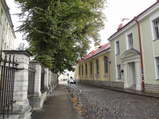 Suur-Kloostri通り。<br />割と落ち着いた感じの通りでした。