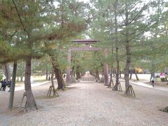 松の並木の続く参道、ここは神様の通り道だとか。邪魔にならないように、横の道を歩いていきました。