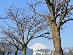 国立印刷局の桜並木

桜が咲くと、こんな感じに…
https://4travel.jp/travelogue/11475529
