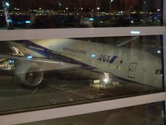 羽田空港　深夜発のフランクフルト行