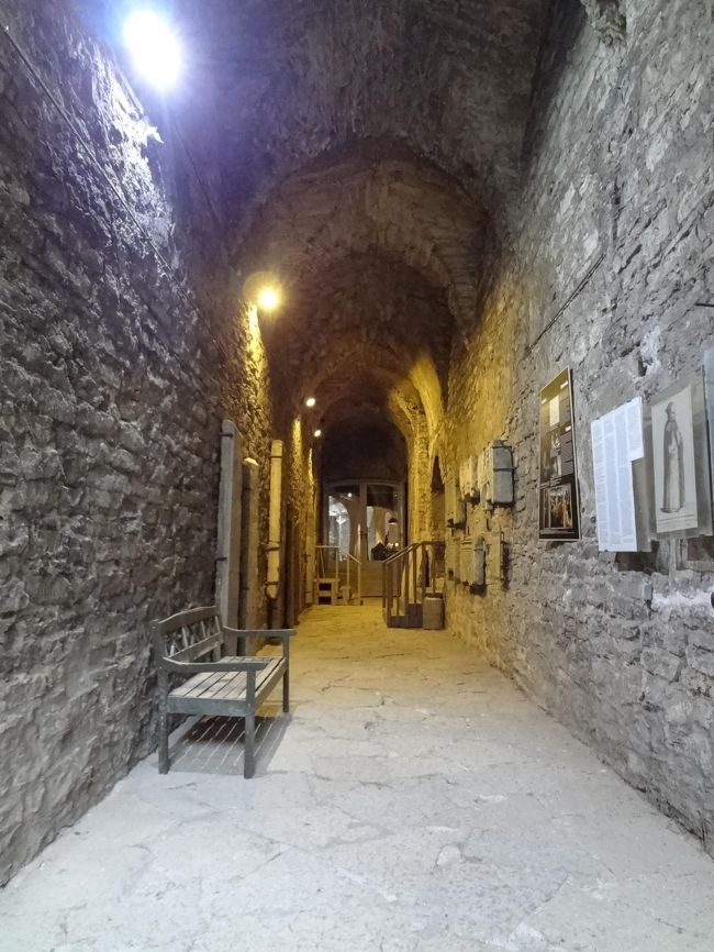 もとは一つだったんだから、いつかは修復されるのかなぁ。