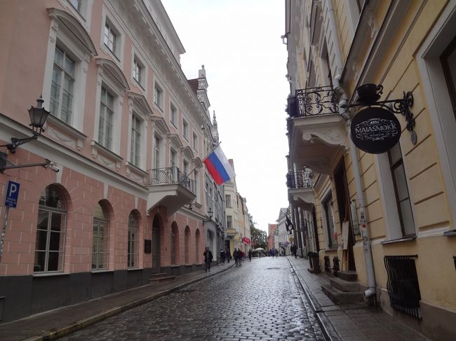 観光とは別に私がやりたかったのは、記念になるニットを探すこと。