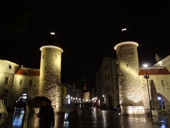 ライトアップされたヴィル門。