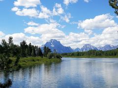 コルターベイの次に寄ったのはOxbow Bend 
スネイクリバーとティトン連山の1つのマウントモランが美しいっ。