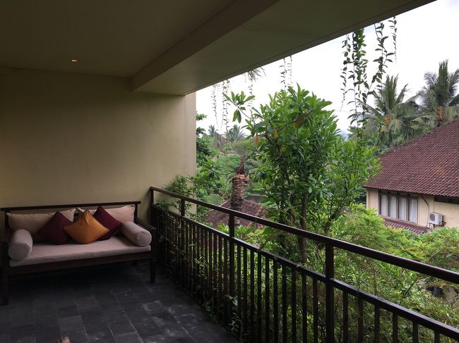 ☆3日目☆<br />ウブドの朝<br />このホテル下層階は暗そうだったので上層階リクエストをお願いしておいたんだけど、やっぱり正解！<br />お部屋は明るい方がいいよね～