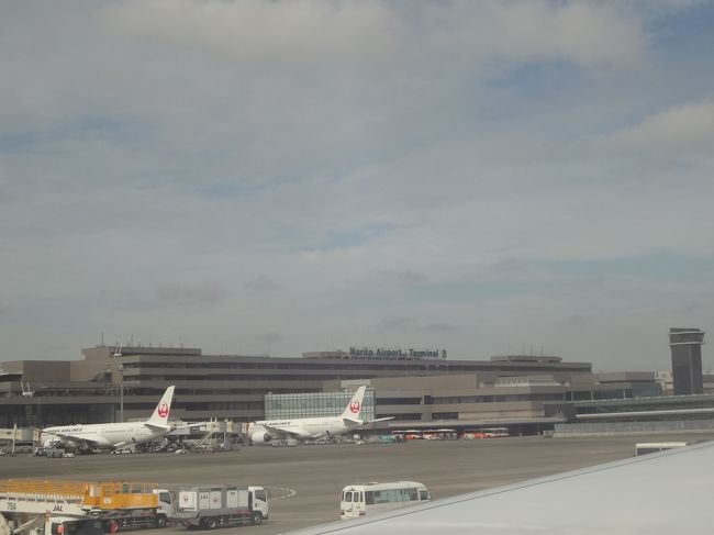 無事に着陸。<br />成田のターミナルビルに日航機が並んでいるのを目にすると、帰ってきたと実感します。