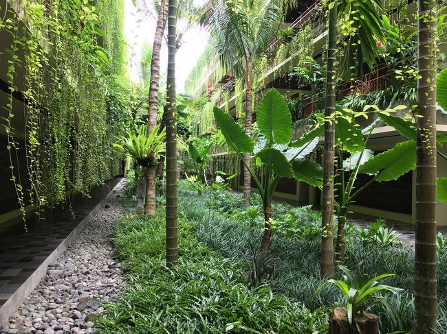 チェアはずっと空かなかったのでプールでプカプカ浮いてました～