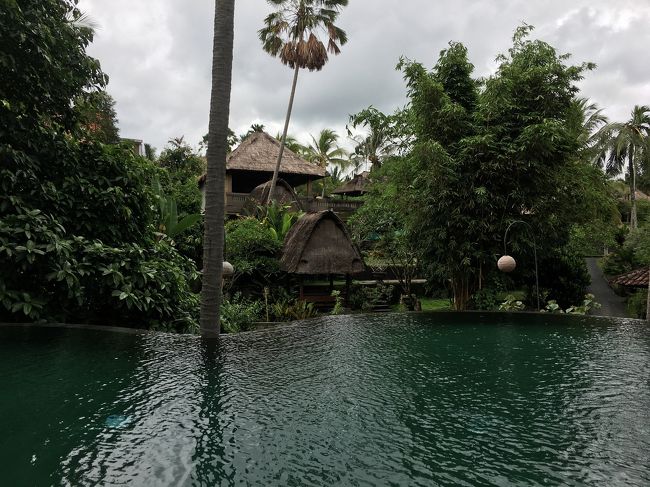 曇り空だけどプールは適温で問題なし！