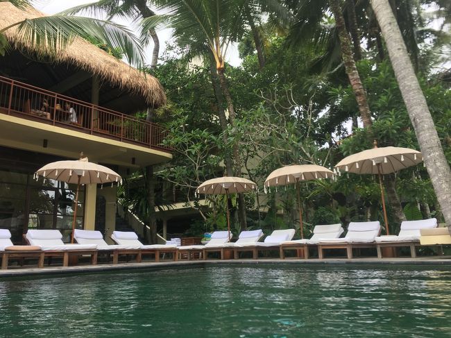 午前中はホテルのプールでまったり<br />この日はチェアも空いてたけど翌日はずっと埋まってました<br />客室数の割にはプールもちょっと狭めなのでチェアも少ないんだよね