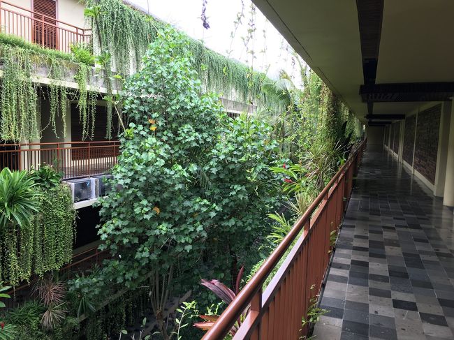 ホテルに戻ってプールへGO