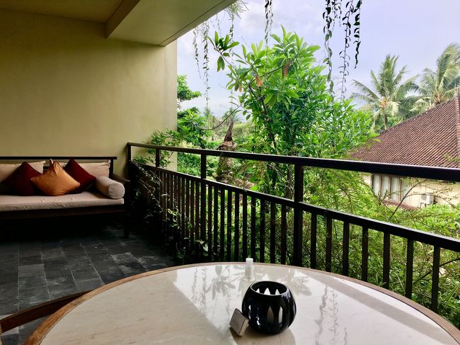 お部屋に戻ってまたまたゴロゴロタイム