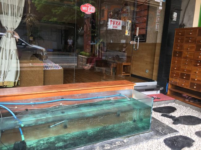 帰り道、娘がドクターフィッシュしたいと<br />角質なんかなさそうなツルツルの足なのに、朝イチだからかけっこうお魚集まってくれてました