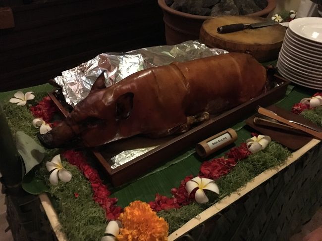 ブタちゃんもいます