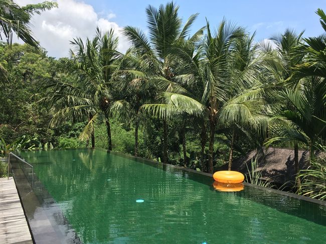 朝ごはんがゆっくりだったのでランチはスキップして午後はずっとプール三昧！<br />お天気も良くて気持ちいい～！