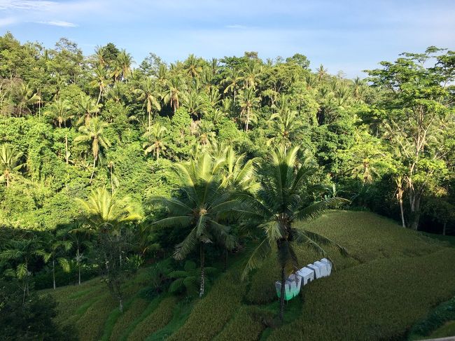 ☆6日目☆<br />大晦日の朝