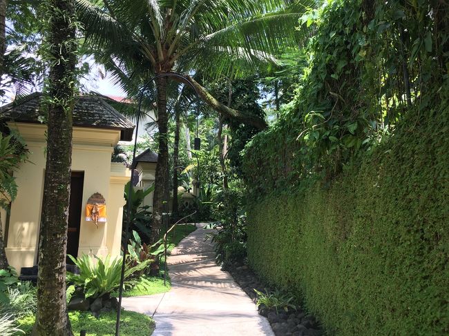 敷地内をぐるっと一周