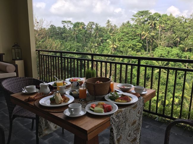 ☆7日目☆<br />元旦の朝<br />今日もいいお天気