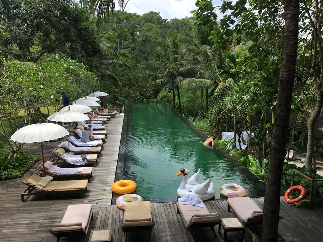 今日のアフタヌーンティーはガラディナーの用意があるのでプールサイドに用意してるそうです