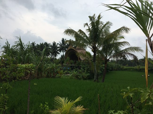 スコールの後の道をのんびり歩いて帰ります