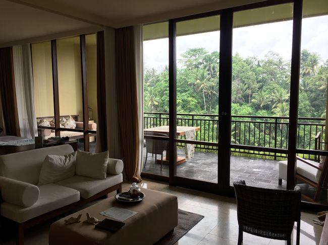 この後は雨が降ったり止んだりだったのでお部屋でまったり