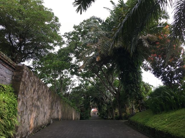 てこてこ歩いていきます<br />この坂が結構急でキツイ