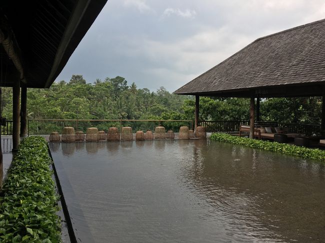 ランチにいきましょう～