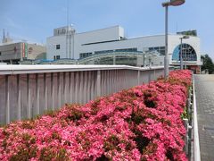 相模原駅へは徒歩10分弱です。
つつじが綺麗ですね。