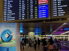 チャンギには予定より1時間遅延し、乗附は45分のみ
でも、チャンギは到着と出発のフロアが分かれておらず、発券済みなのでそのまま次のゲートへ向かいました
前方席を予約しておいてよかったわ

DPSへのゲートはD32、到着ゲートD43の向かいでした
ダッシュもせず、トイレも着替えもできました！
久しぶりのチャンギ。年末で人のおおいこと。熱気で気分も上がります
DPSへのフライトは定刻通り。
予定通りに乗継できた安心から爆睡してしまいました。
