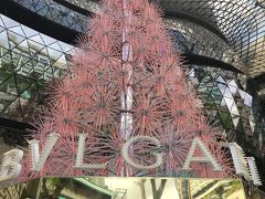 時刻は11時30分程。
「そろそろお昼だけど、どうする？」
「予約取ってあるって言ってなかった？」
「あれはアフタヌーンティーだから16時だよ」
「そうなの？14時って言ってなかった？」
「14時30分からはSPAだよ。機内泊→機内泊だからね。午後から疲れるだろうから一緒に取っといた」
「それも楽しみなのよね。ただ16時まで食べないとお腹空くかもね。ガッツリ食べてアフタヌーンティーにお腹が張るのは嫌だけど、軽くならいいよ」
「せっかくシンガポールに来たんだからチキンライス食べよう」
「チキンライス有名よね」
「確かオーチャードの近くにも有名なお店があったはずだよ。メモ見てみる…… boon tong kee？多分このお店。検索してみて？」
「boon…… tong……出てきたよ。駅の方まで戻ってバスで14から65番。歩き含めて20分くらいみたい」
「じゃあそこに行ってみよう」

オーチャードの駅近くまで歩いてきた2人でしたが、ここで困ったことに、どう歩いてもオーチャードの交差点を渡れません。

「どうする？タクシーひろう？」
「どうやら一回地下に入って渡れってことかな。梅田の地下街のワケわかんなさに比べたらまだわかりやすいし、なんとかなるんじゃないか」

結局20分ほど迷った挙句、地下をくぐってなんとかこのブルガリのツリーのところまで渡ってきました。