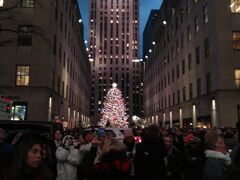 Rockefeller Center前のクリスマスツリー。これ、ニュースの映像でも流れていた。近くにすら寄れず。