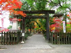 川沿いを歩いてやってきた山内神社。もみじが綺麗に見えたので、境内に入ってみることに。