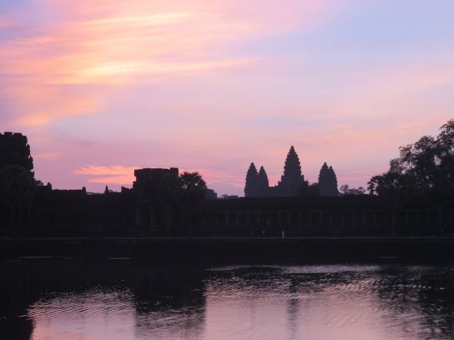 ツアーで１日遺跡を見て回ります。
