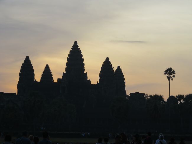 朝日の鑑賞から