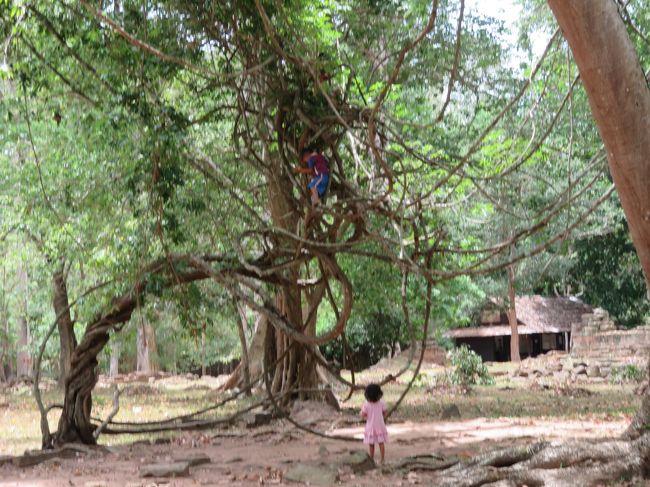 子供達が遊んでる<br />ジャングルジムみたい