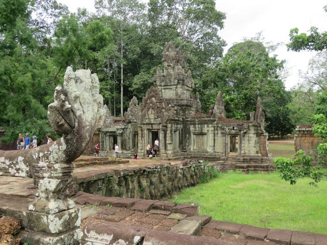 テラスの上を歩けます