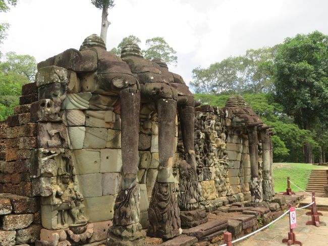 フォトスポット<br />象さんのお鼻