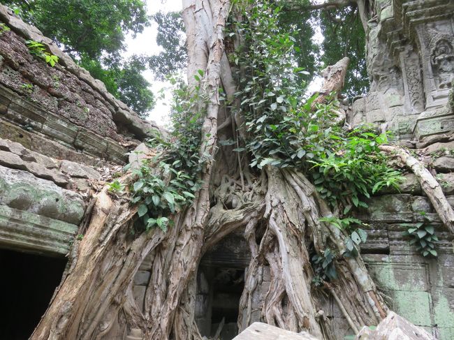 一番行ってみたかったところ