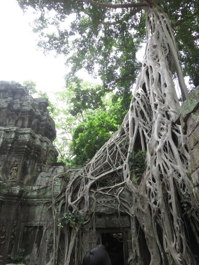 トゥームレイダーのロケ地