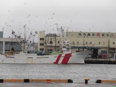 土砂降りの礼文島から、始発便で稚内へ戻ってきました。
こちらは曇り空です。
駅のコインロッカーにスーツケースを入れて、
便利な路線バスで「稚内副港市場」へ向かいます。
いやーーー稚内。路線バス使い勝手がよいです。
今回の旅は相当楽してます。

「稚内副港市場」の目の前は海です。

