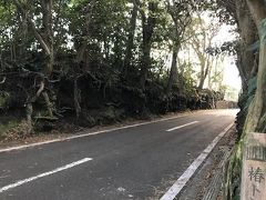 切り通しを後にして大島公園方面へ向かうと、椿トンネルに出た。
ほうほう、椿はどこじゃー？