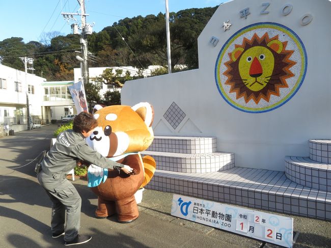 新春静岡レッサーパンダ遠征 ２ レッサーパンダ年賀状やドラゴンボールコラボの日本平動物園 いろいろ 庄やで安くて贅沢グルメと静岡みやげ 静岡市 葵区 駿河区 静岡県 の旅行記 ブログ By まみさん フォートラベル