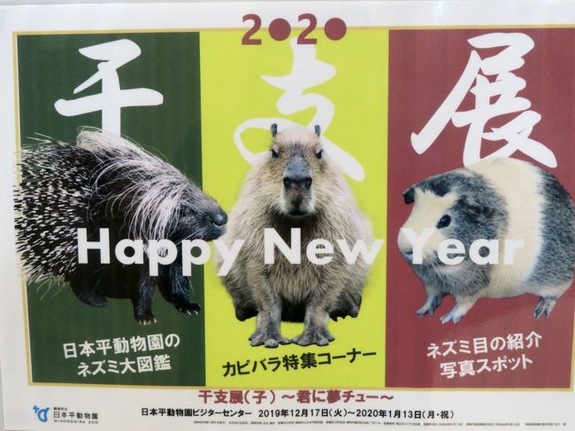 新春静岡レッサーパンダ遠征 ２ レッサーパンダ年賀状やドラゴンボールコラボの日本平動物園 いろいろ 庄やで安くて贅沢グルメと静岡みやげ 静岡市 葵区 駿河区 静岡県 の旅行記 ブログ By まみさん フォートラベル