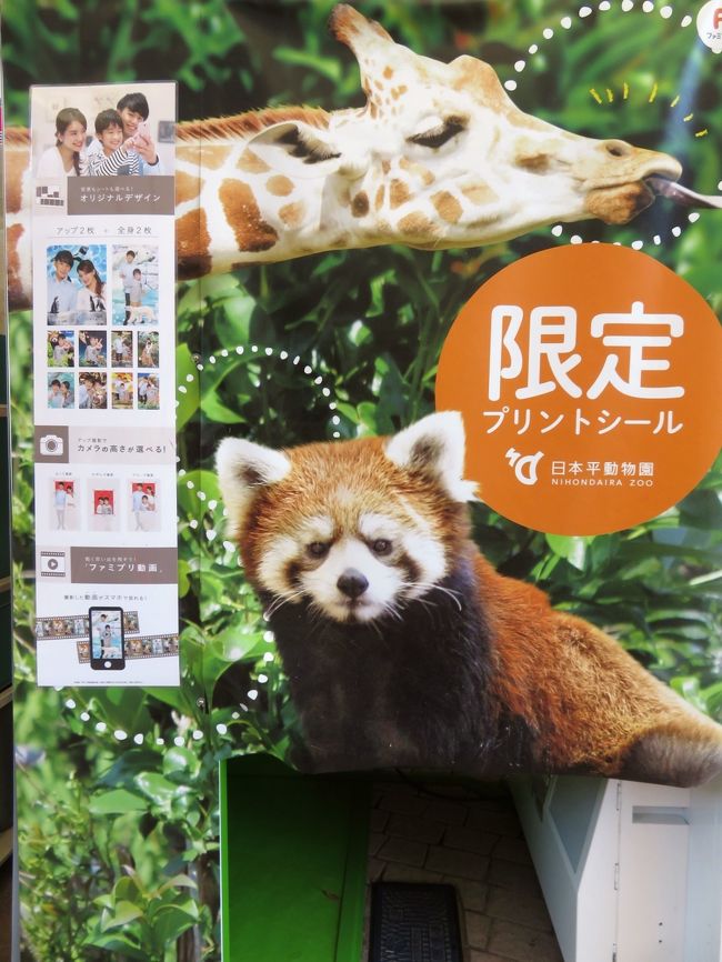 新春静岡レッサーパンダ遠征 2 レッサーパンダ年賀状やドラゴンボールコラボの日本平動物園 いろいろ 庄やで安くて贅沢グルメと静岡みやげ 静岡市 葵区 駿河区 静岡県 の旅行記 ブログ By まみさん フォートラベル