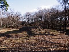 大室公園の古二子古墳