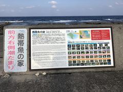 お次は熱帯魚の家。
海岸の潮溜まりに魚たちが取り残されていて、まるで自然の水族館。
駐車場っぽいスペースもあります。

堤防に生息している魚の写真と名前が載っていましたがすべての種類を
見つけるのは苦労するかもしれません。
ゴツゴツとした足場なので脱げにくい靴が安心です。