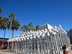 道を渡ってロサンゼルスカウンティ美術館 (LACMA)に移動。中には入らず通り過ぎただけです。