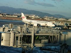 さあ時間。JAL3004便で成田まで。
定刻8：00でしたが、伊丹空港は着陸する飛行機と離陸する飛行機が同じ滑走路を使うので、出発する飛行機が多い朝の時間帯は離陸まで時間がかかります。到着時間はこの待ち時間も考慮されているのでしょうが、それでも、到着が定刻より15分遅れました。